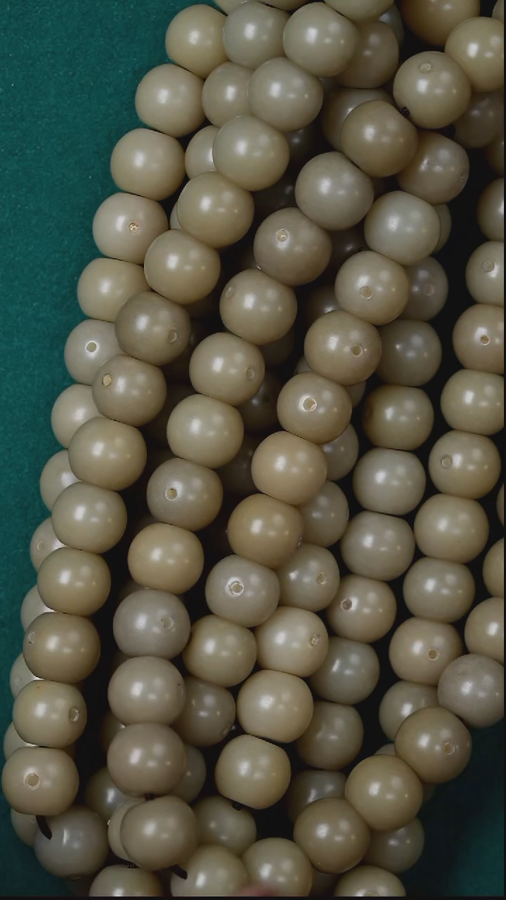 手串金刚菩提s01菩提根