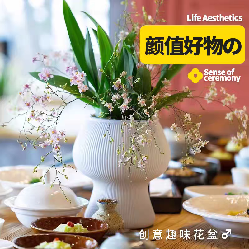 ins【100口径蘑菇盆】简约高款室内文心兰蝴蝶兰专用树脂花盆