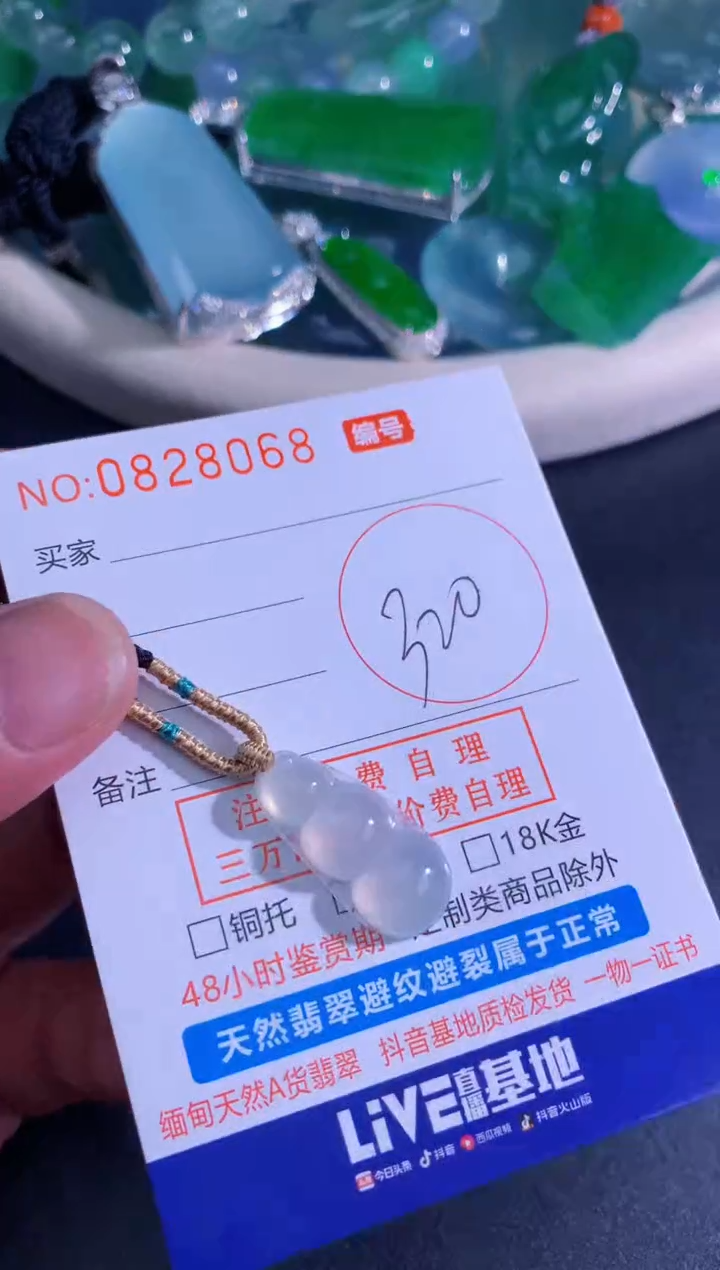 颈饰未镶嵌翡翠天然A货翡翠