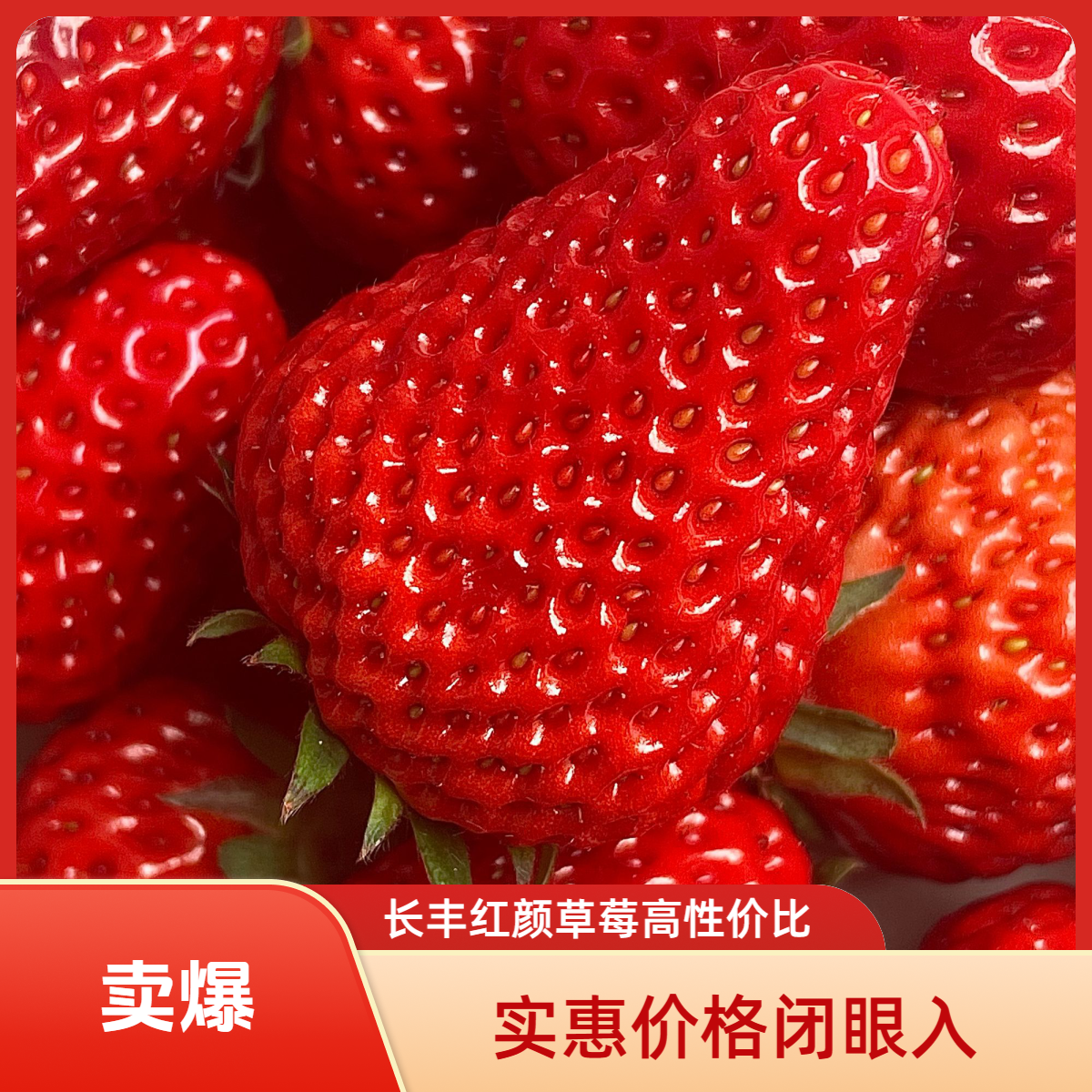 【顺丰次日达】安徽长丰红颜草莓|新鲜现摘|果香宜人