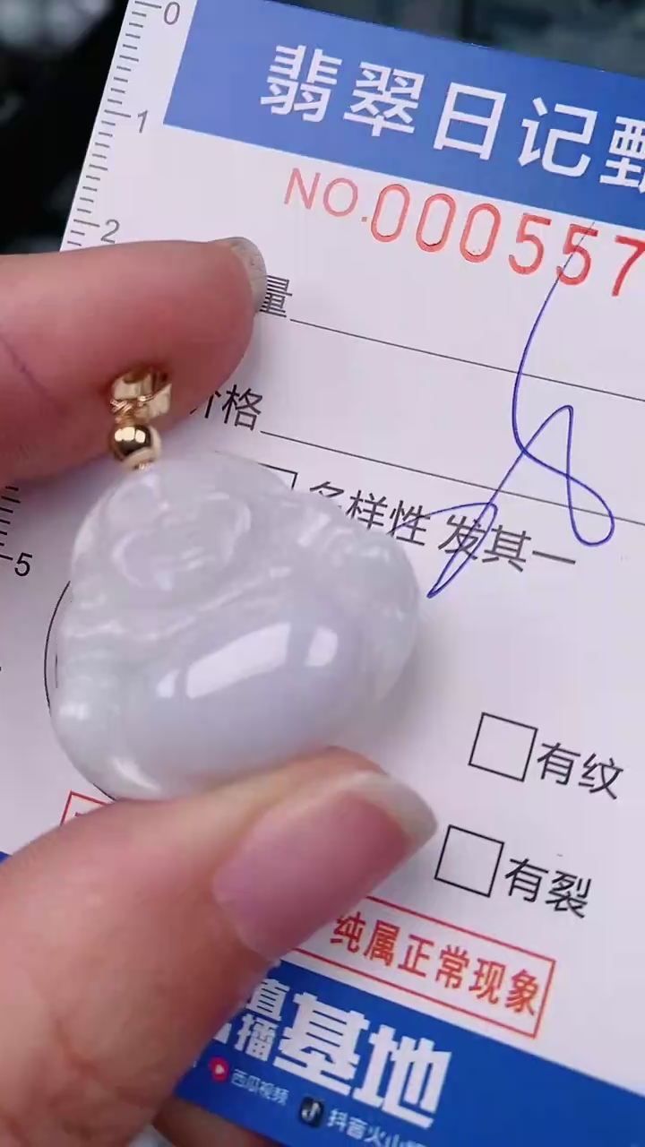 【闪购商品】翡翠颈饰未镶嵌00005579