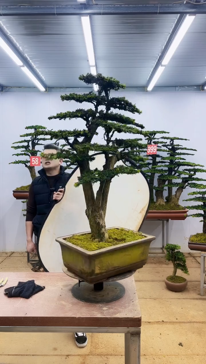 【闪购商品】一物一拍，所见即所得