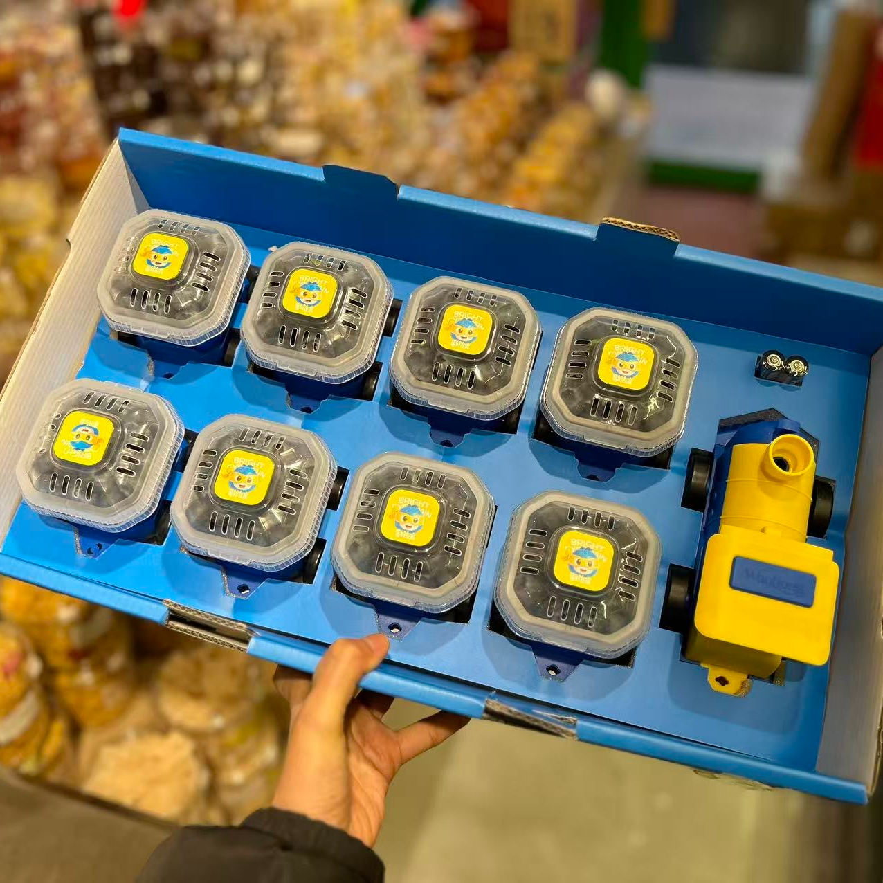 蓝莓靓眼系列蓝莓