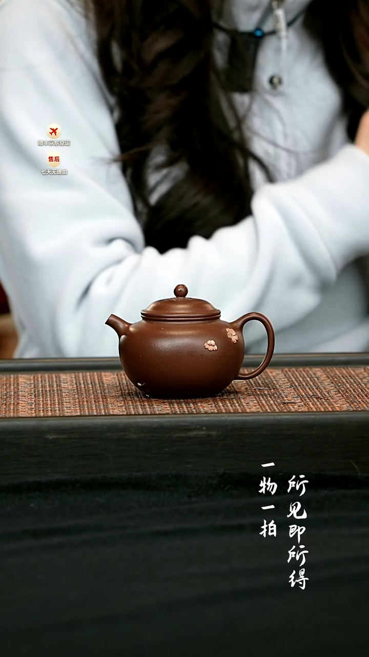 茶壶紫砂花吟壶 一物见春