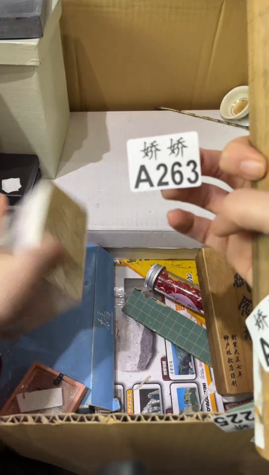 瓷片佳*263佳恩 佳恩 