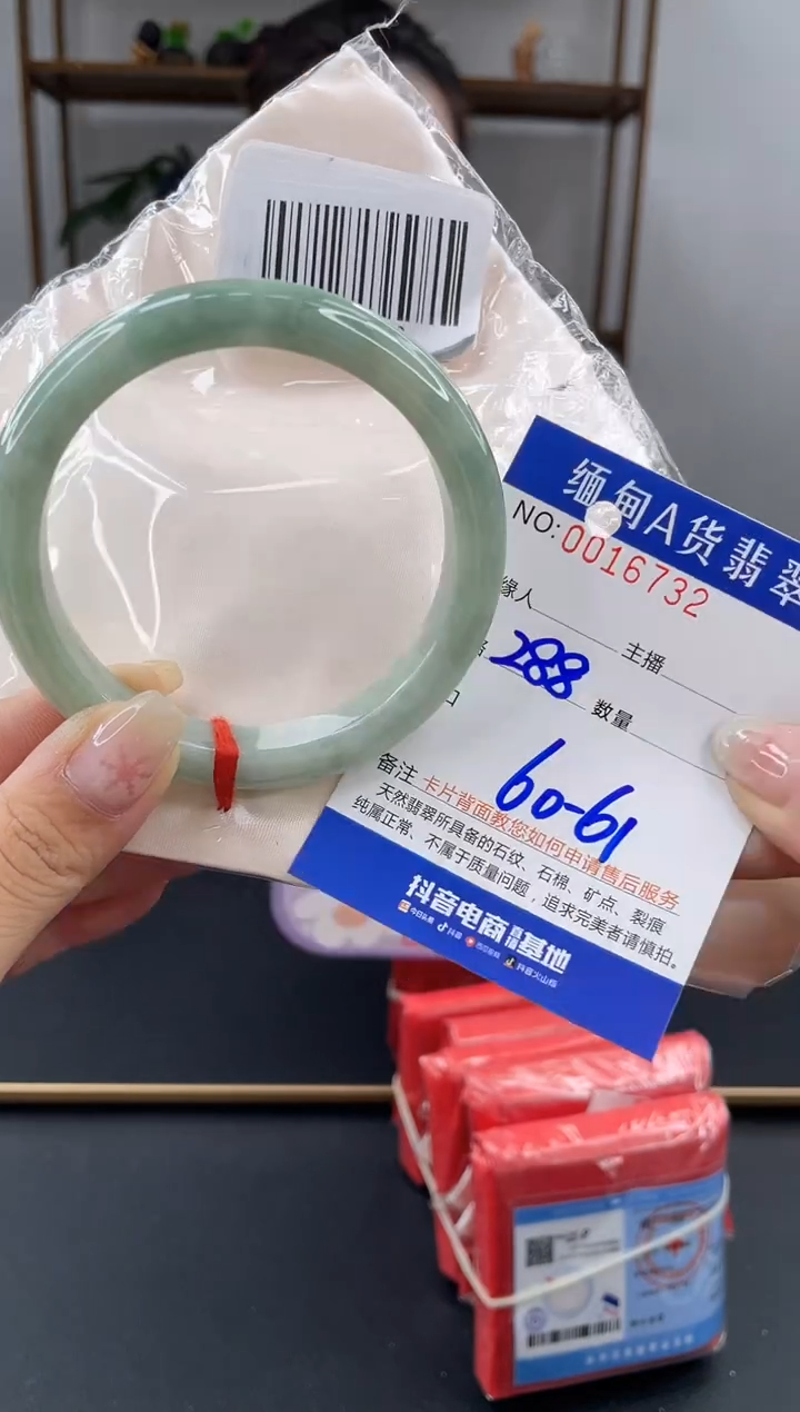 未镶嵌手镯翡翠 