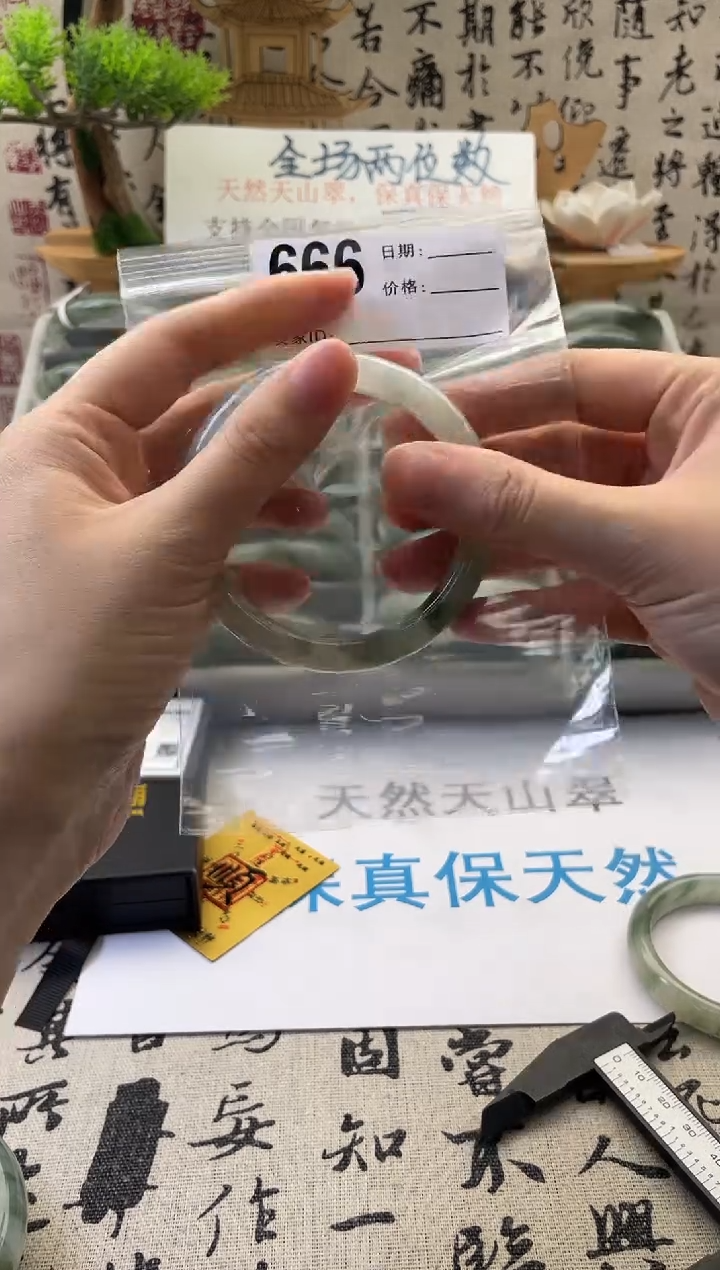 石英质玉（天山翠）手镯未镶嵌666