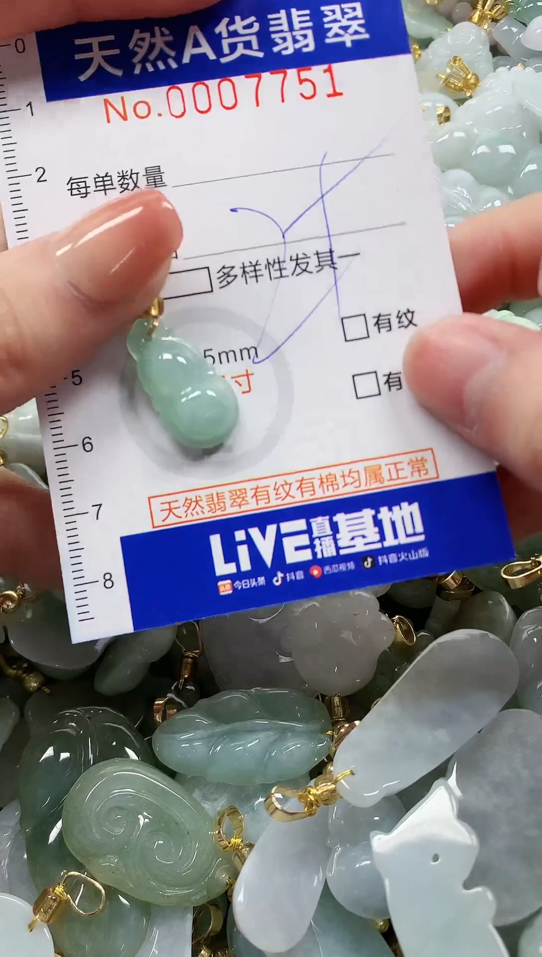 颈饰未镶嵌翡翠纯天然a货翡翠