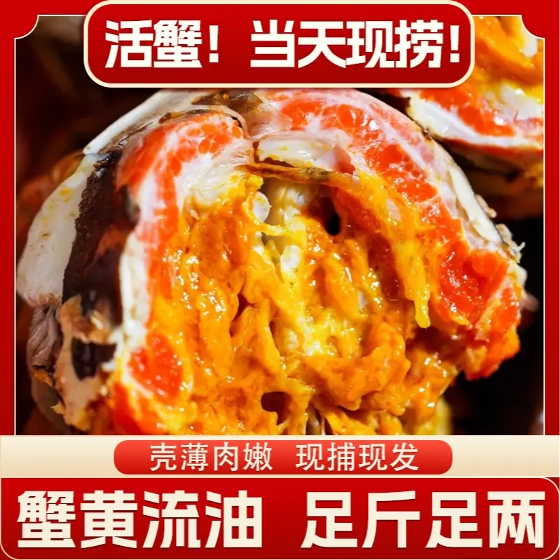 【精挑活蟹】金标大闸蟹 全母蟹 共10只 2.5-2.2两 顺丰包邮