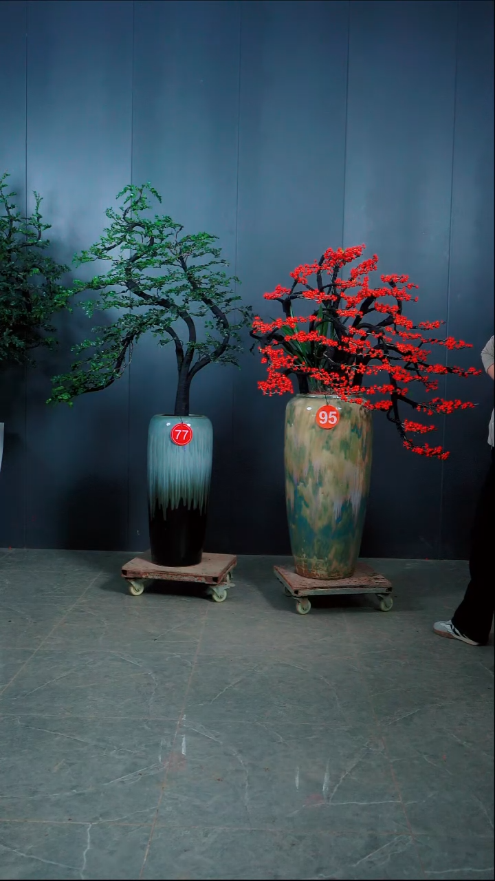 无花朵李*子北美冬青95号.小叶紫檀.77号