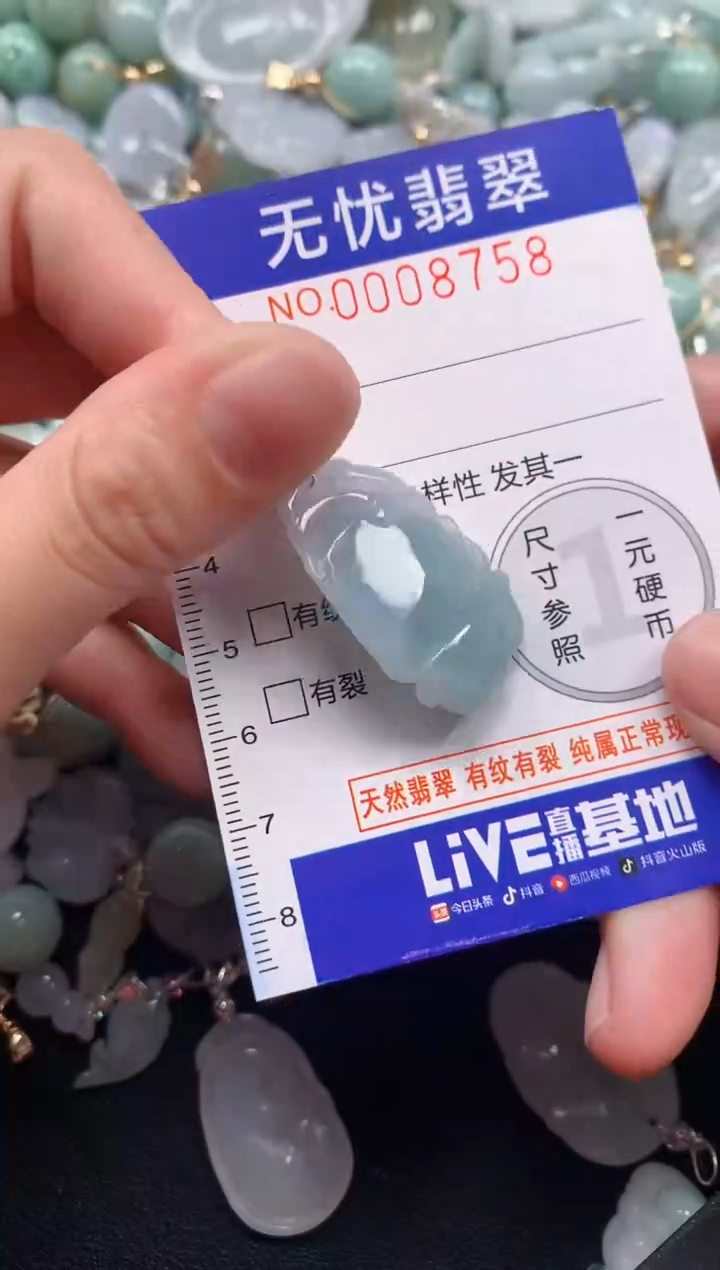 颈饰未镶嵌翡翠8758