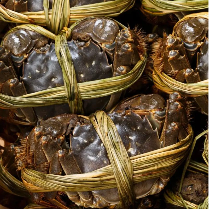 【活蟹】精品江苏大闸蟹公4.0两母3.0两6/8/10只