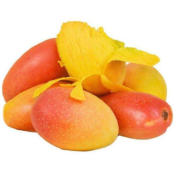 芒果 红金龙贵妃芒果