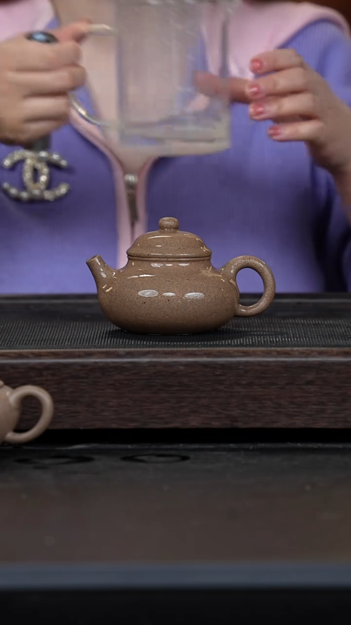 【闪购商品】紫砂茶壶鲨皮青容天