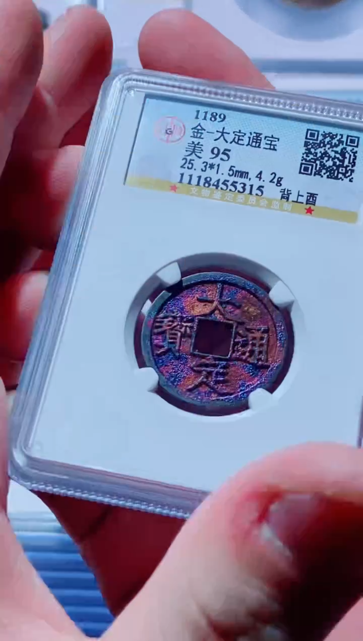 【闪购商品】铜古钱币大定尾号315