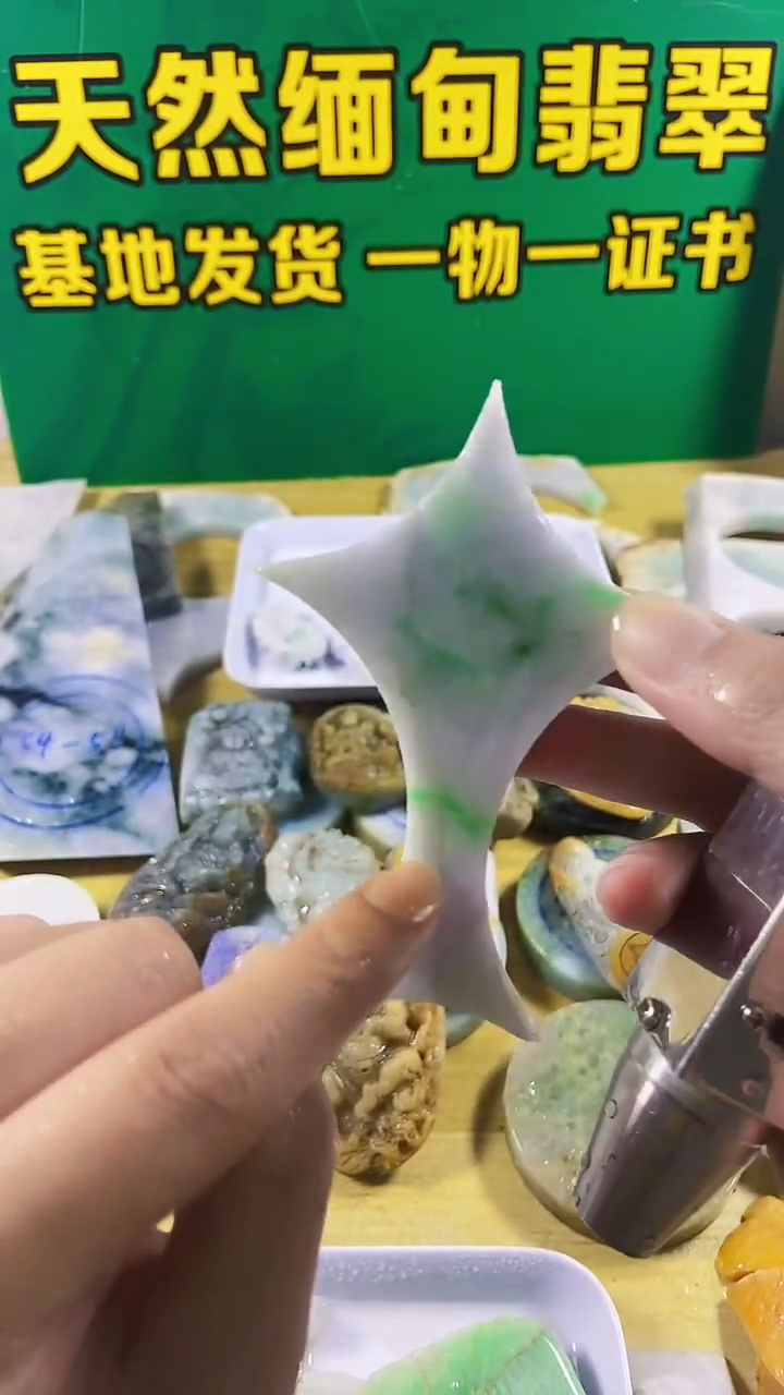 翡翠未镶嵌颈饰裸石016