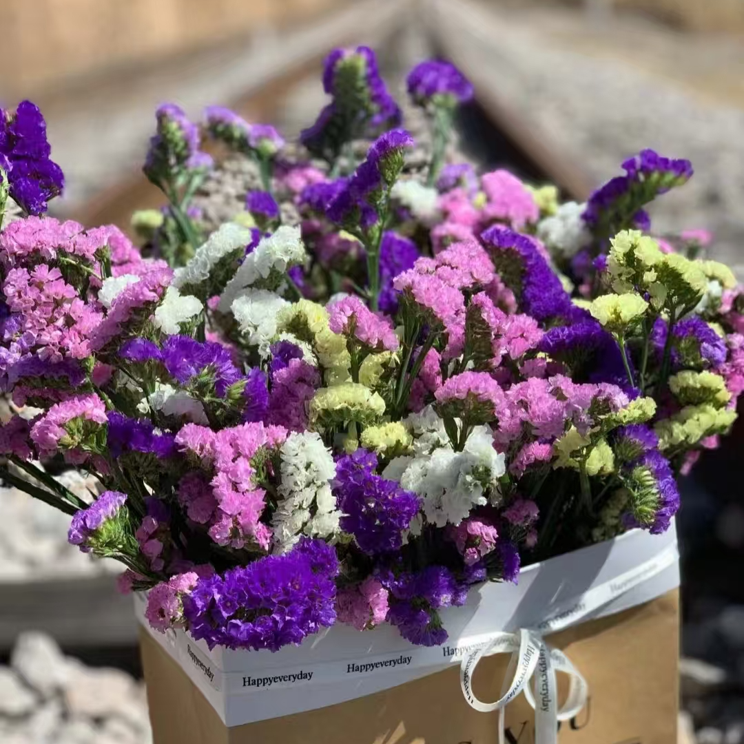 M【随机色勿忘我10枝】