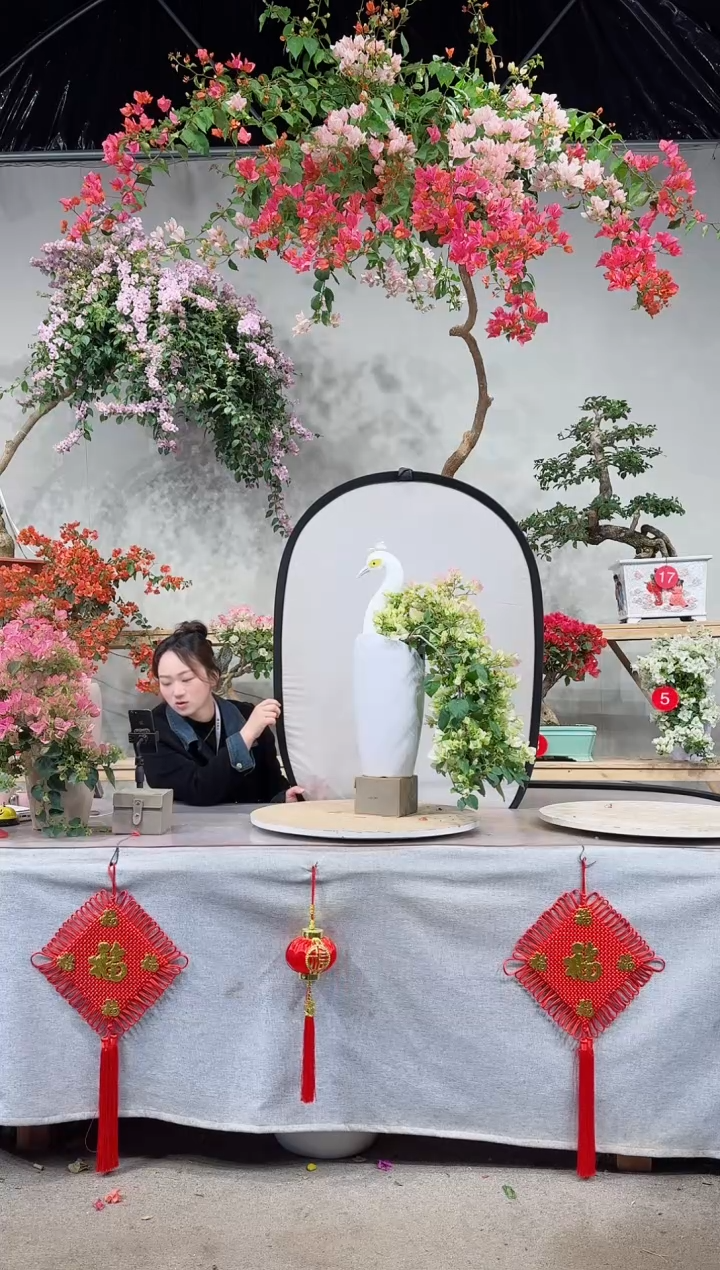 【闪购商品】盆景绿樱