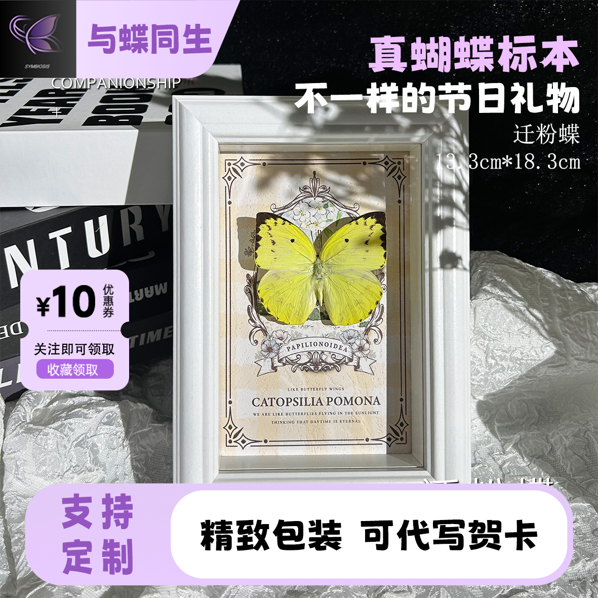 迁粉蝶真蝴蝶标本家居装饰摆件情人节生日送男女朋友创意节日礼物