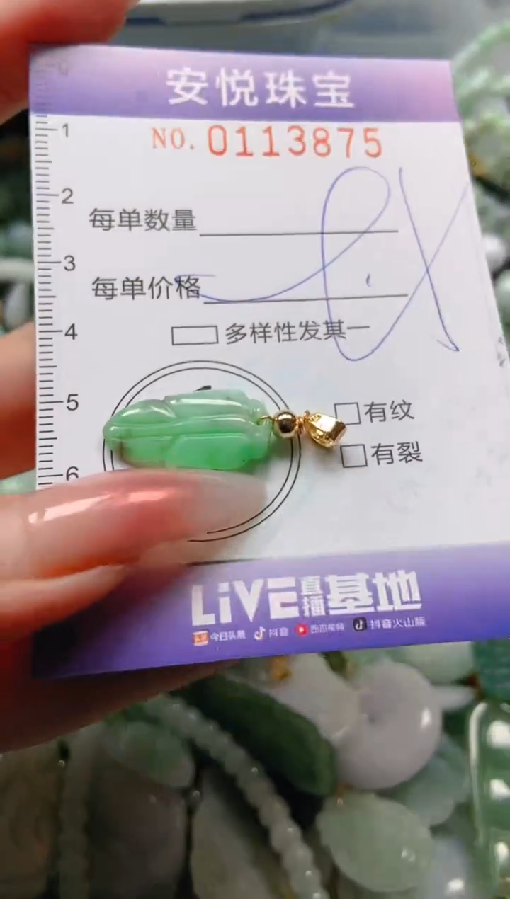 【闪购商品】翡翠颈饰未镶嵌闪购0113875