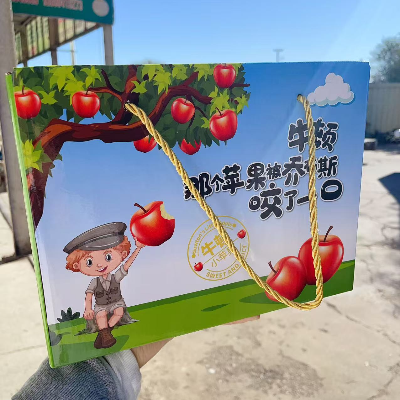 牛顿小苹果礼盒包装3.5斤云南省