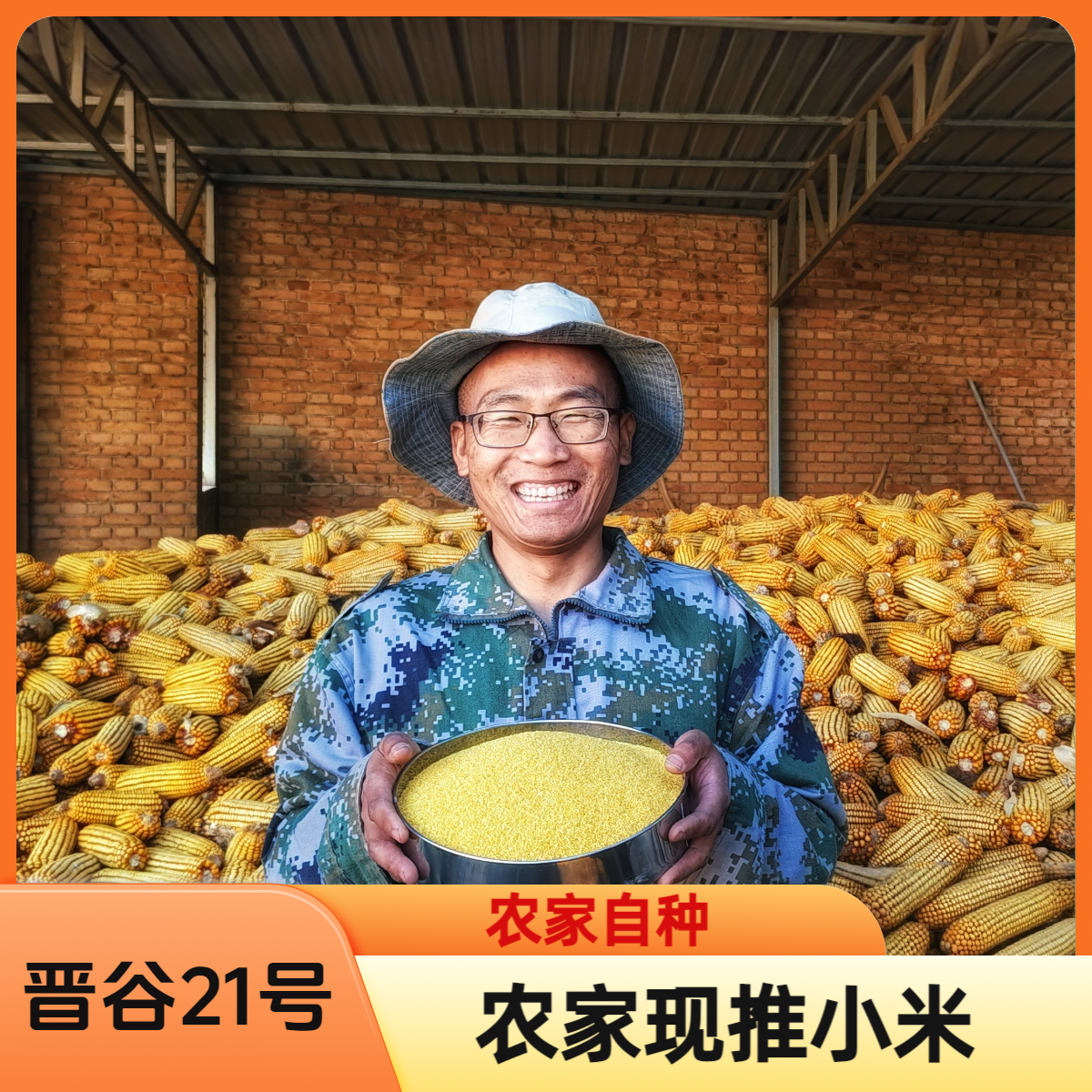 【晋谷21号小米】农家新鲜现推  忻州特产