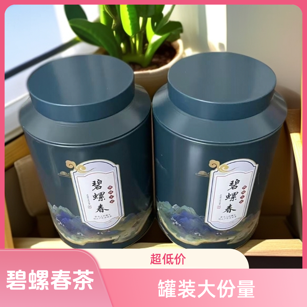 发一罐 粉丝福利 碧螺春 新茶 绿茶 大份量150g