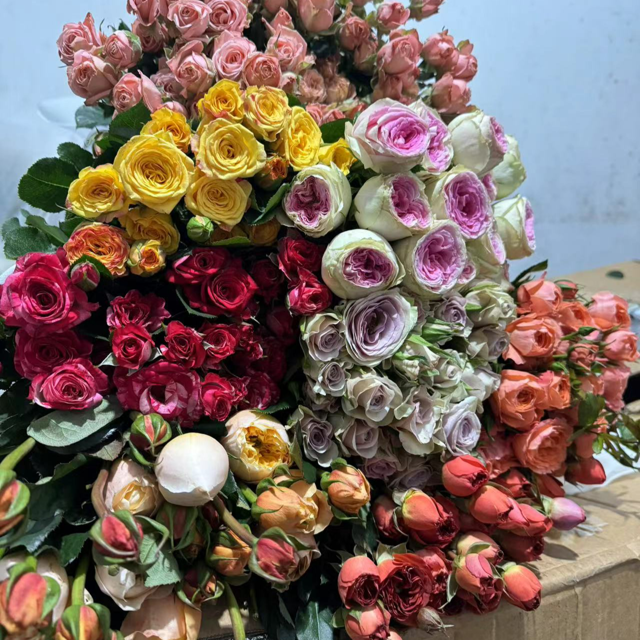 玫瑰混拼（单头玫瑰3枝）（多头10个花苞）