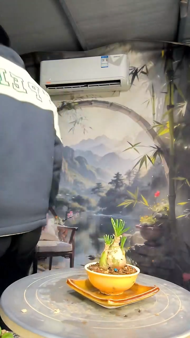 (****川中青园艺一物一拍花280