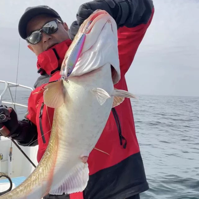 Marine Magician魔术师S曲面强鳞慢摇铁板鳕鱼黑黄鱼黄尖炮弹鲅鱼