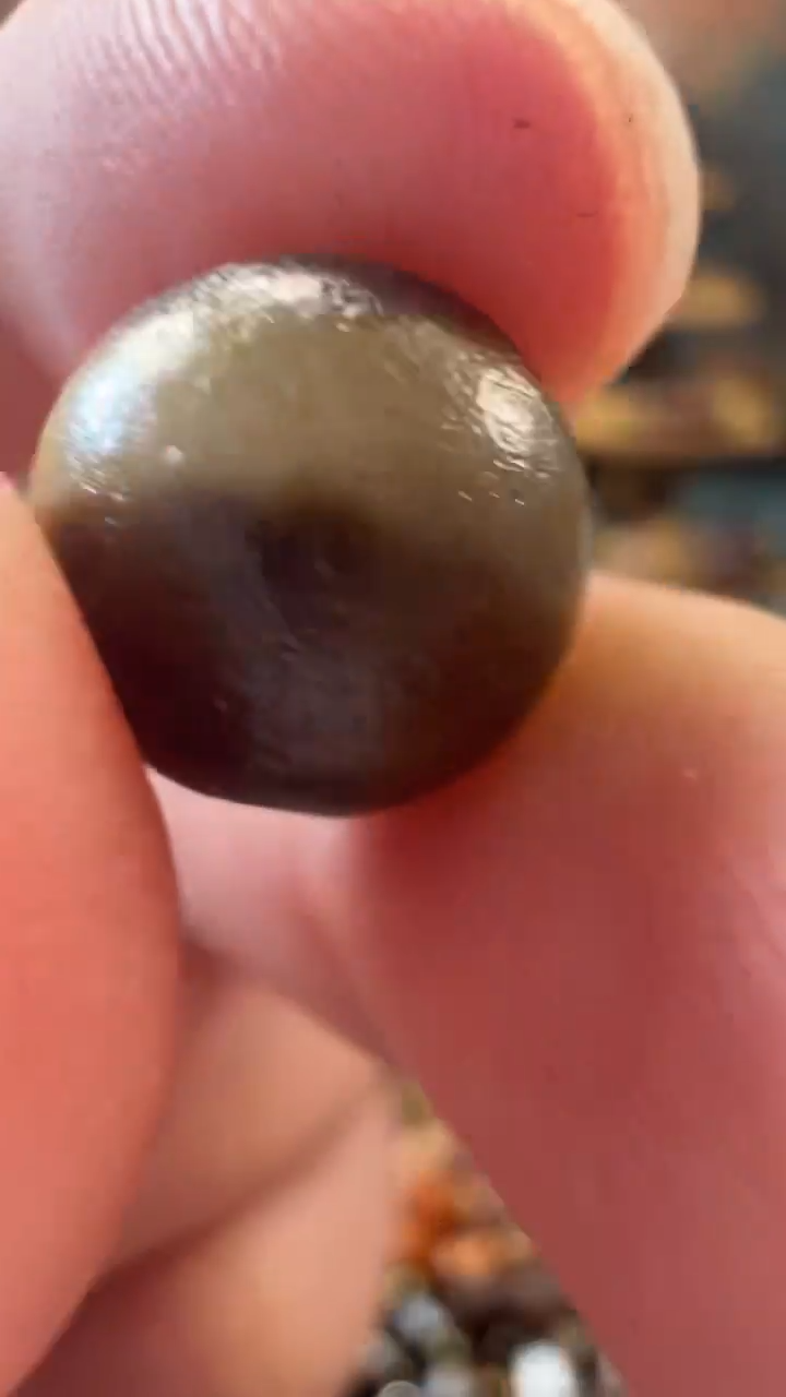 玛瑙/玉髓（覆膜）颈饰未镶嵌26（微瑕随机发货）