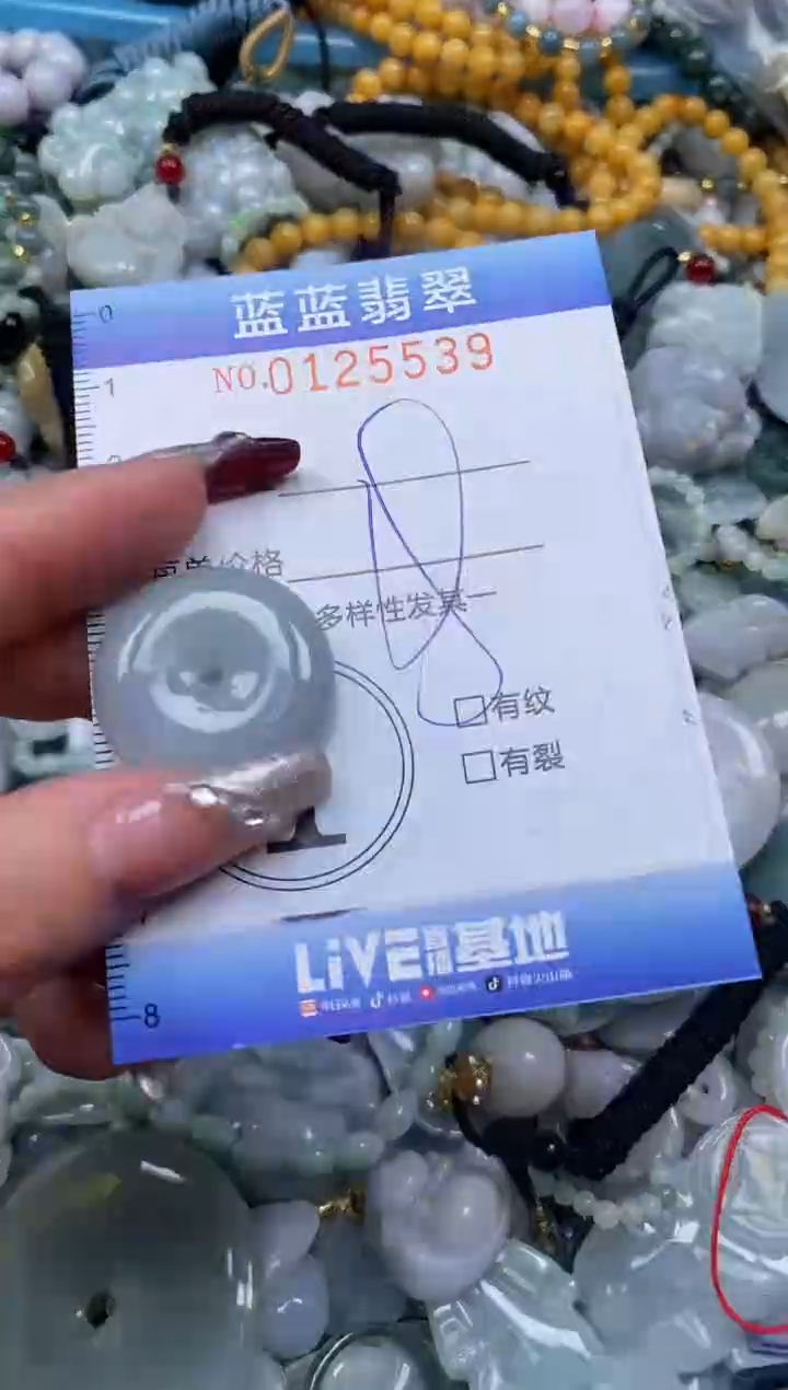 【闪购商品】翡翠颈饰未镶嵌闪购0125539