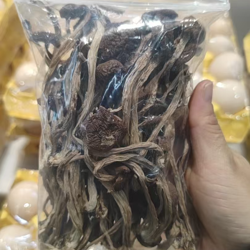 茶树菇干/包约50g