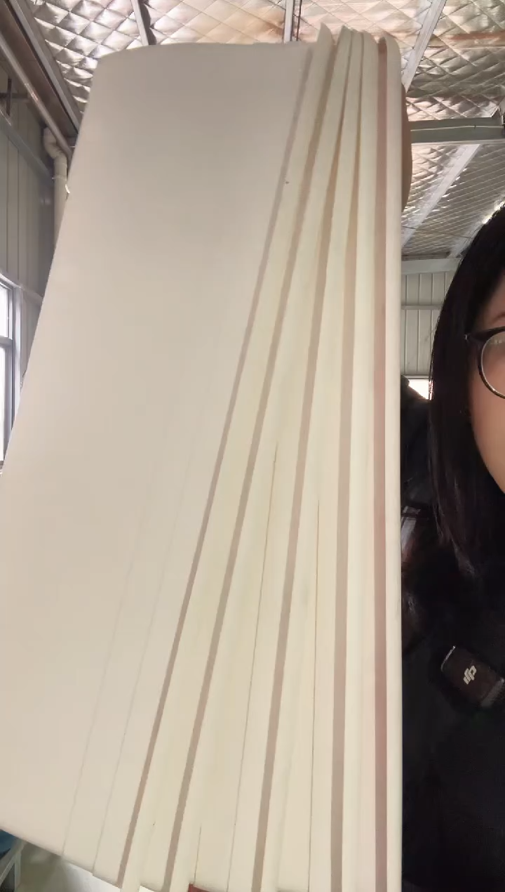 【闪购商品】塑料维拉60长槽白色5只装