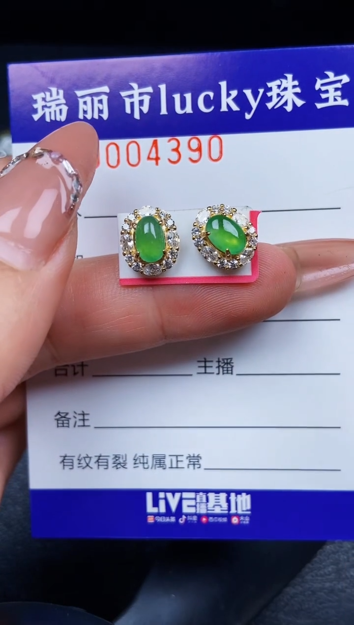 翡翠银S925镶嵌颈饰4390