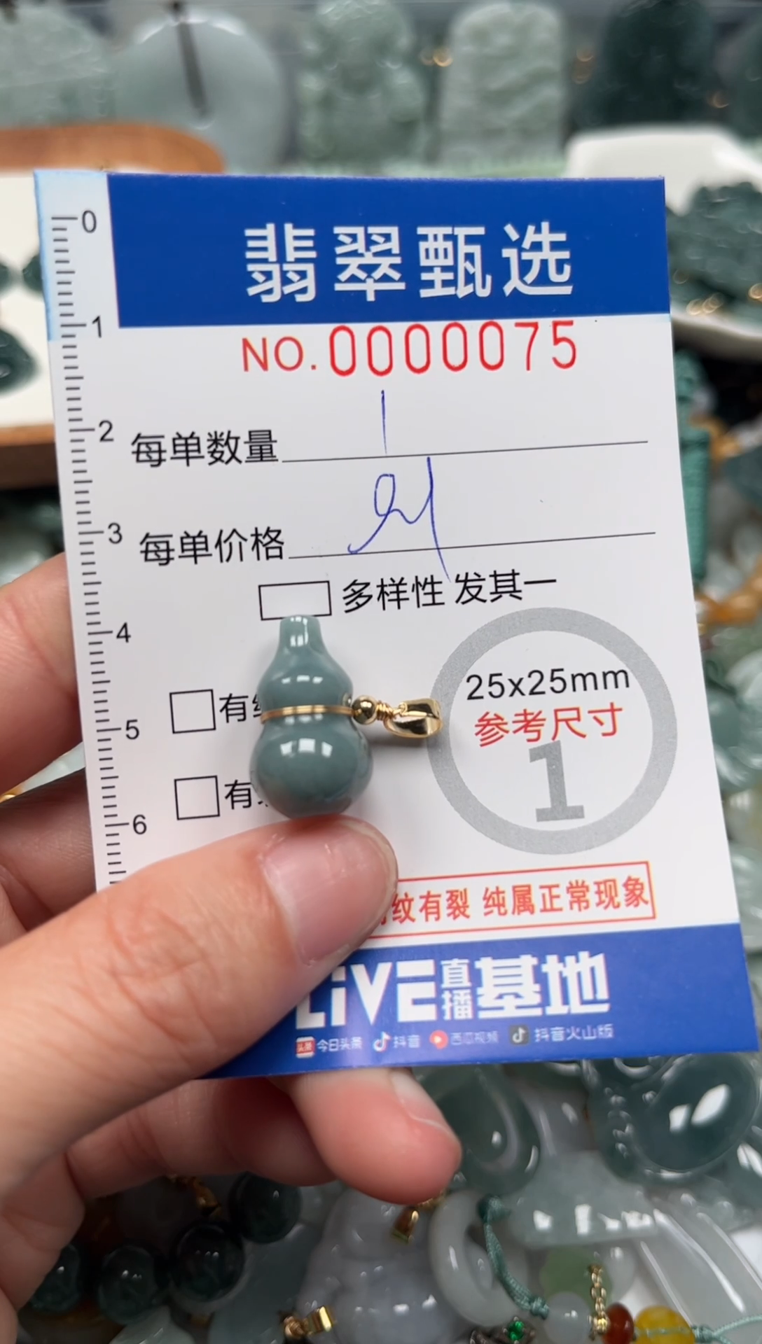 【闪购商品】翡翠颈饰未镶嵌00..0075