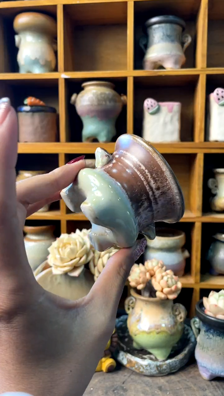 501内口6【多肉花盆多肉盆】