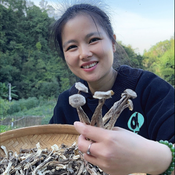 广西新货鹿茸菇鹿茸菌干货煲汤焖肉