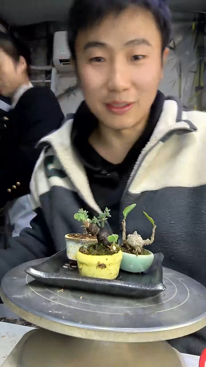 ༺***࿐中青园艺一物一拍花454