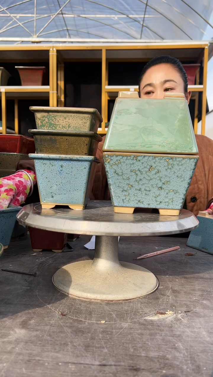 二*三58号两盆77号三盆各带一件窑宝共5盆组合