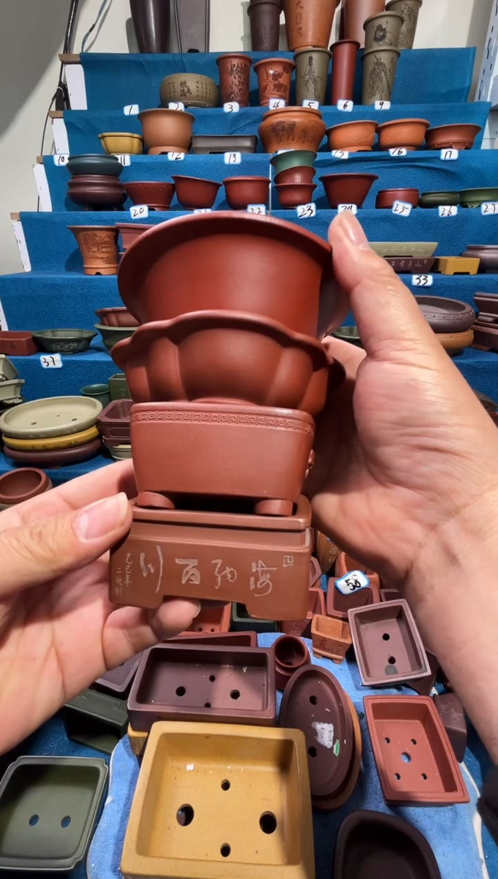 【闪购商品】紫砂花盆5