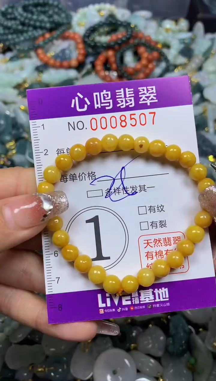 【闪购商品】翡翠颈饰未镶嵌闪购008507