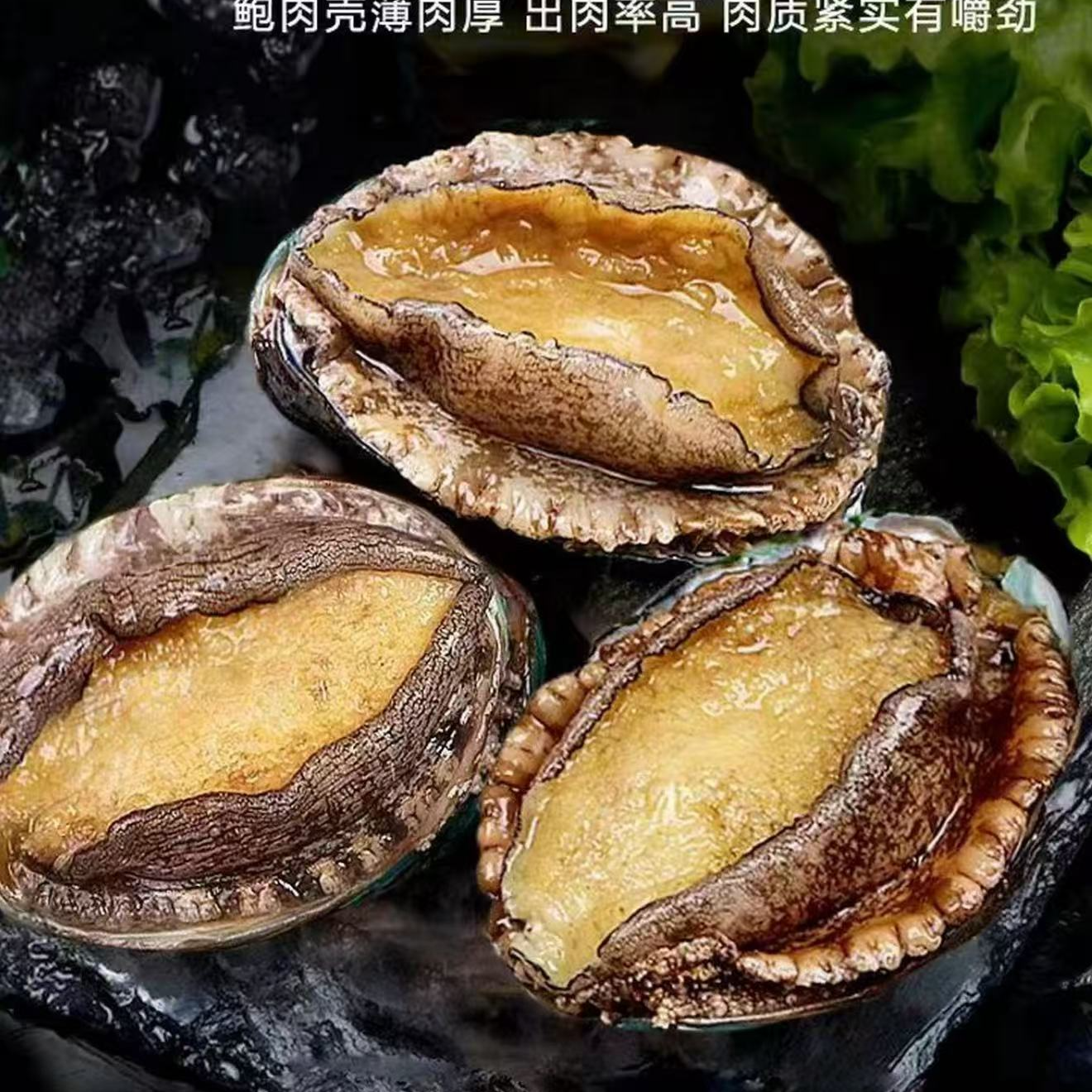 大号鲍鱼肉（6头） 8分熟冻 冷冻锁鲜