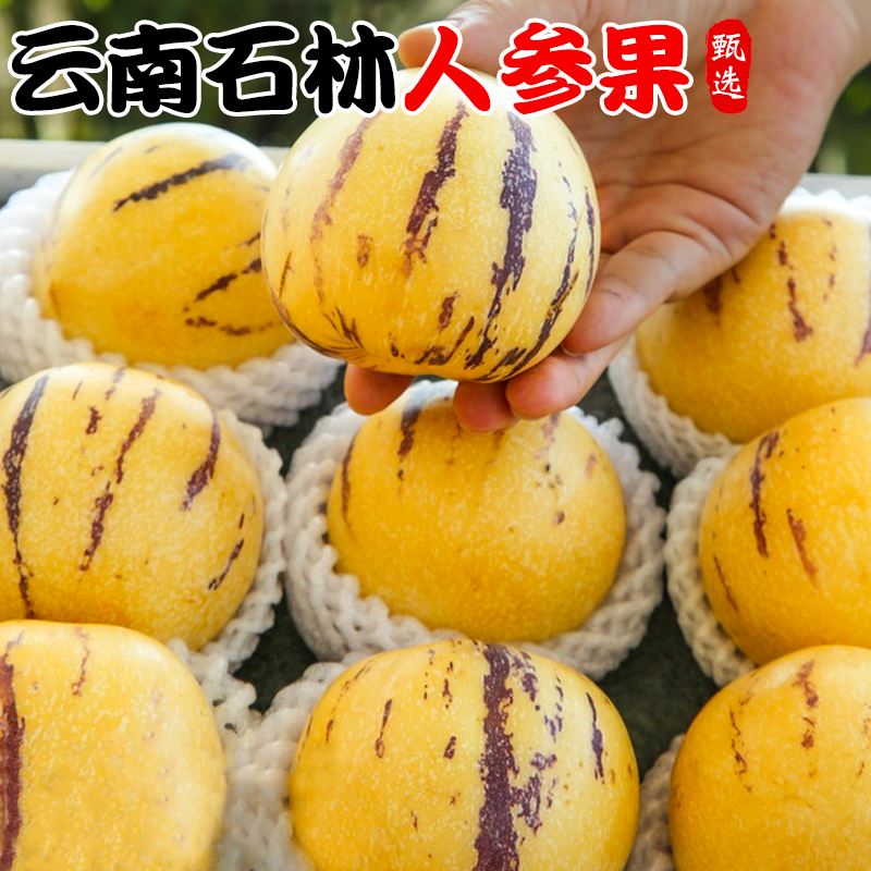 【云南石林人参果】树上熟黄肉圆果清甜多汁新鲜当季水果低脂解渴