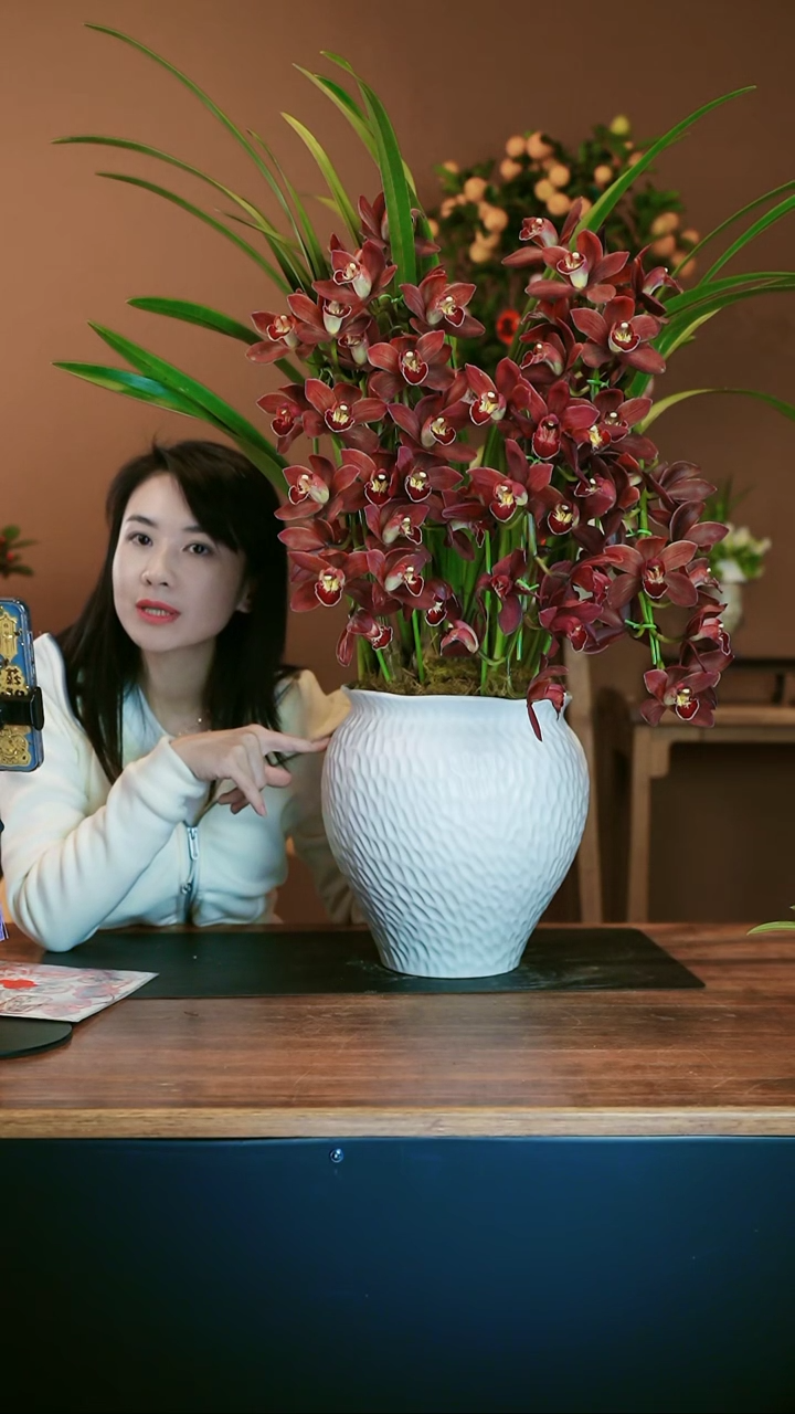 【闪购商品】盆景红玛瑙