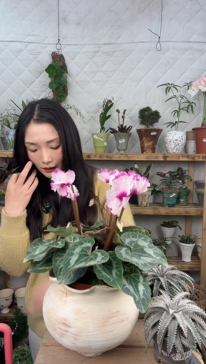 无花朵编号 095 景德镇手工手绘花盆