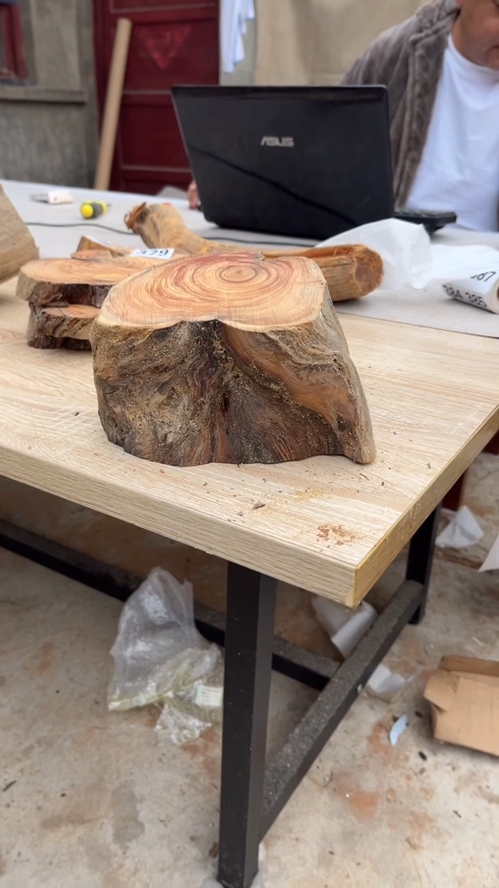 柏木（崖柏）太行崖柏墩子