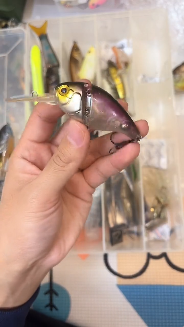 泳道路亚 路亚饵