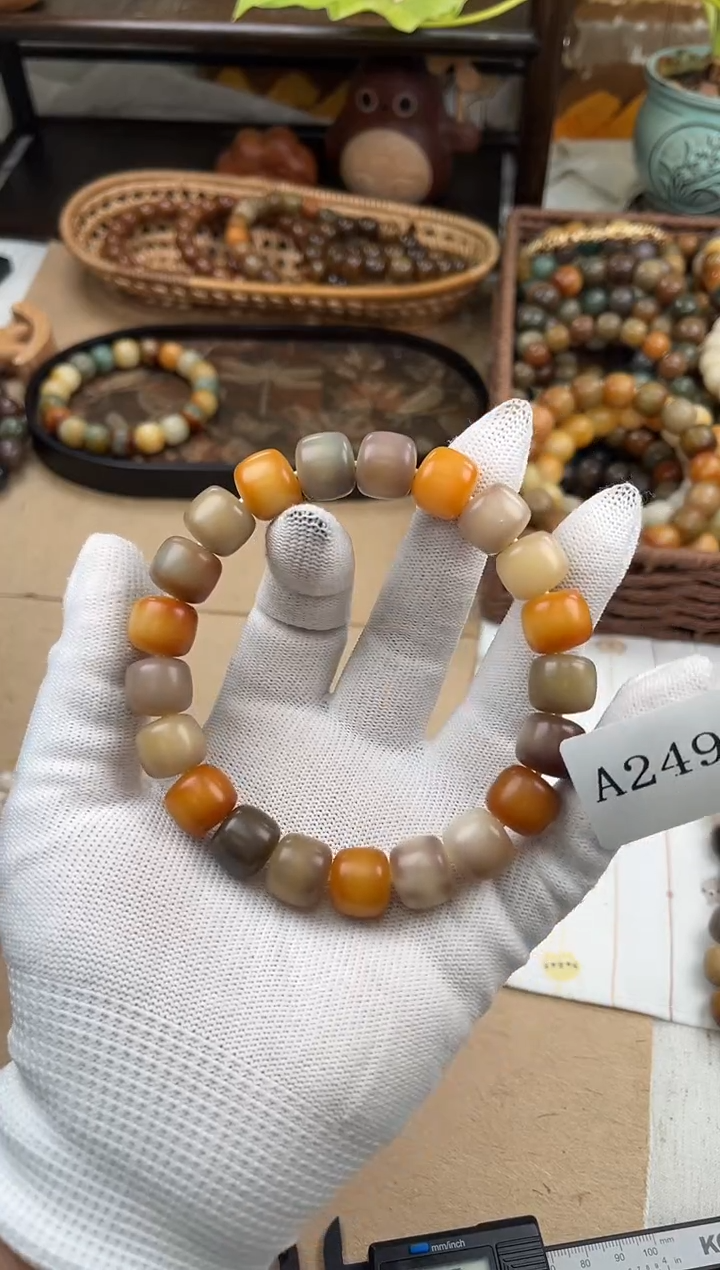 手串菩提根/象牙果s****·a249卡14 干磨万圣家族孔一般