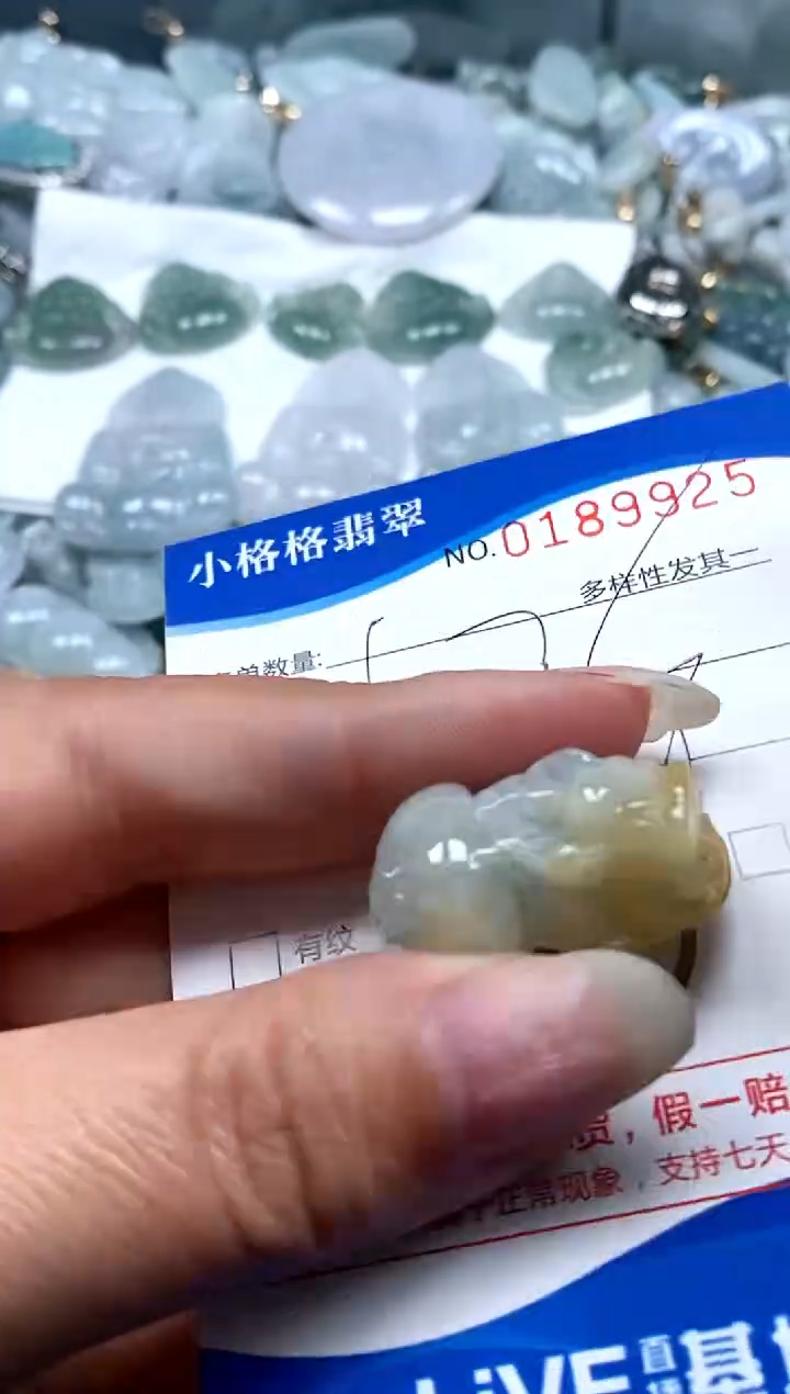 【闪购商品】翡翠颈饰未镶嵌闪购商品0189925